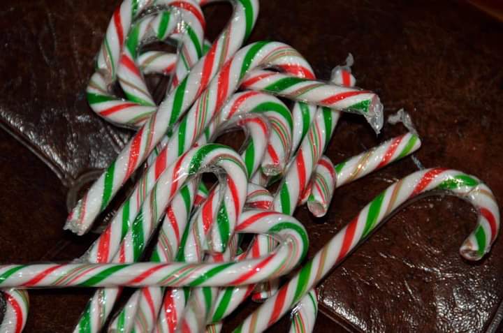 Municipal service level adjustments for the 2021/22 holiday season
