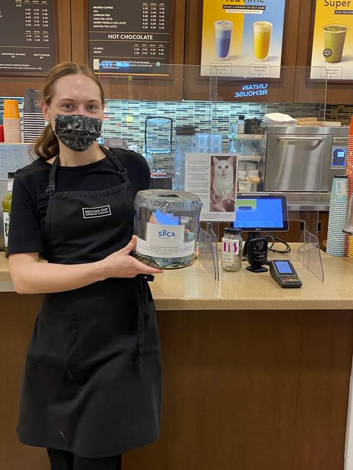Second Cup is giving second chances to shelter pets!