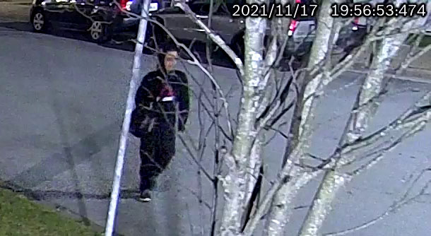 Police investigate theft and arson of motor vehicle