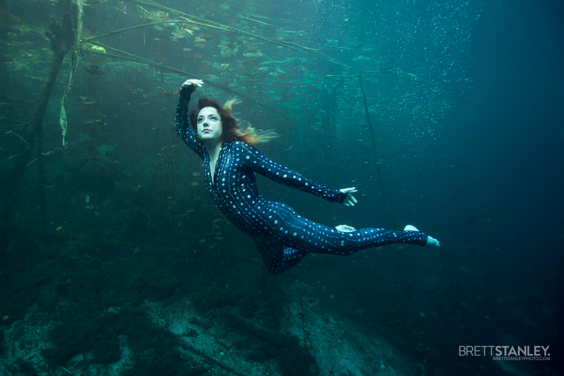 Swimming with the fishes.  Local mermaid shares her tails of becoming an aquatic entertainer in the HRM 