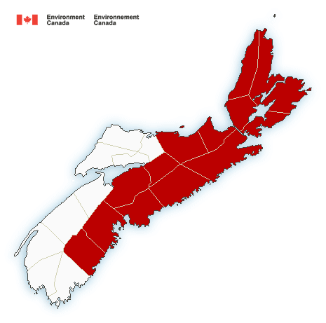 (ENDED) Rainfall warning in effect