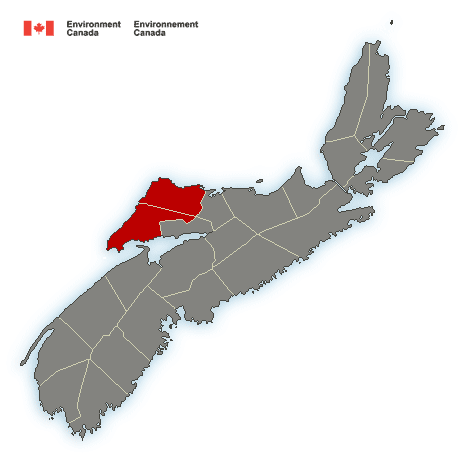 (ENDED) Special weather statement in effect