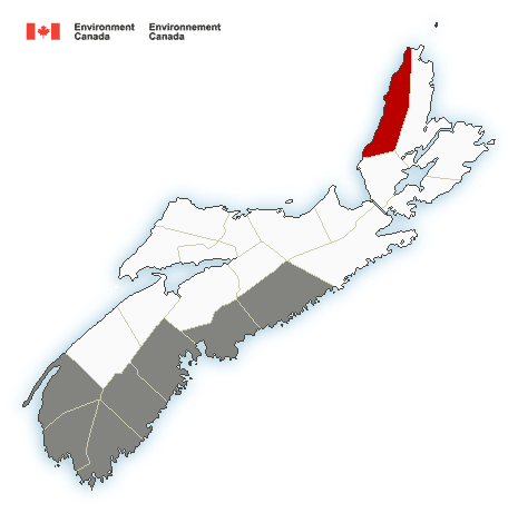 (ENDED) Special weather statement in effect