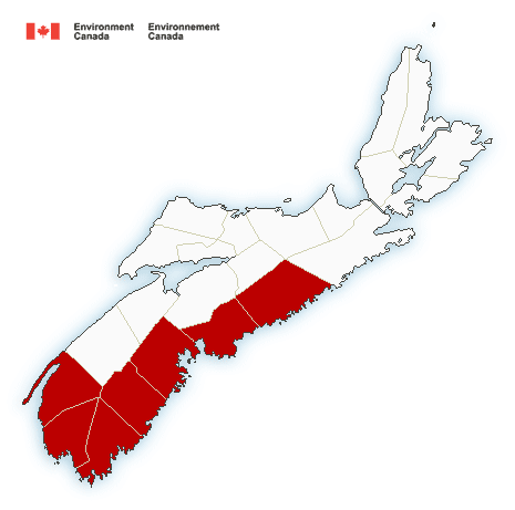 (ENDED) Snowfall warning in effect