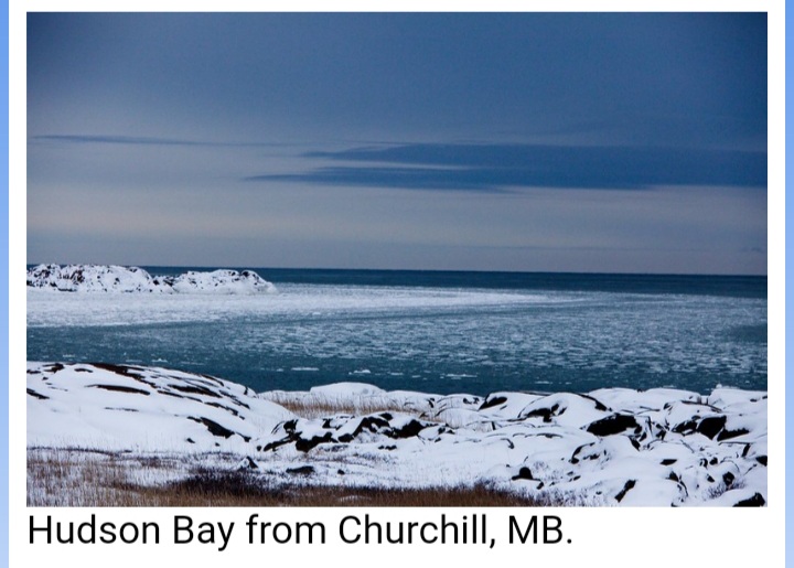 Dwindling Arctic sea ice