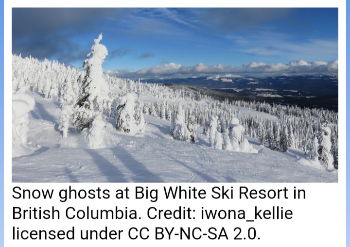 Canada may have monstrous snow, but Japan has “snow monsters”!