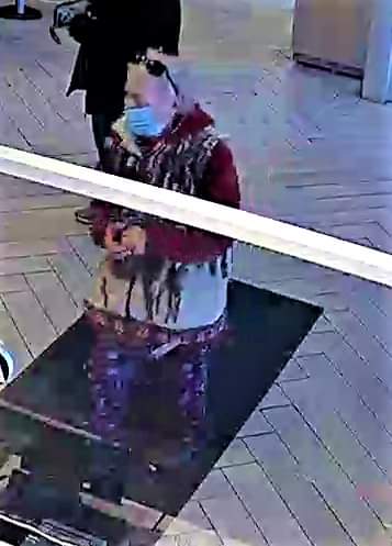 Have you seen this woman or vehicle?