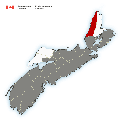 (ENDED) Special weather statement in effect
