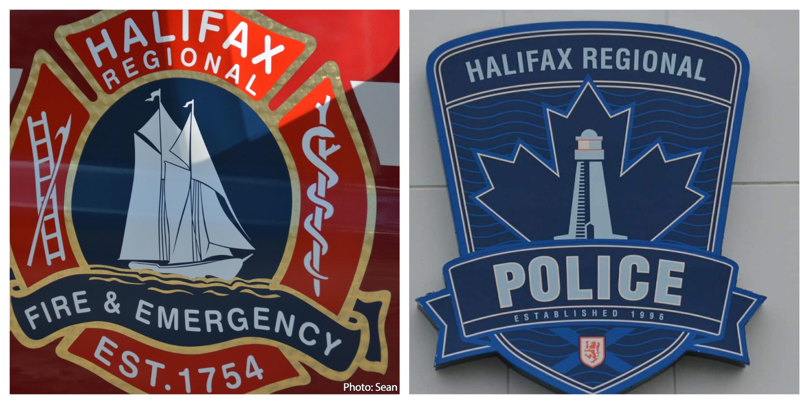 HRFE and HRP salutes its volunteers  ​
