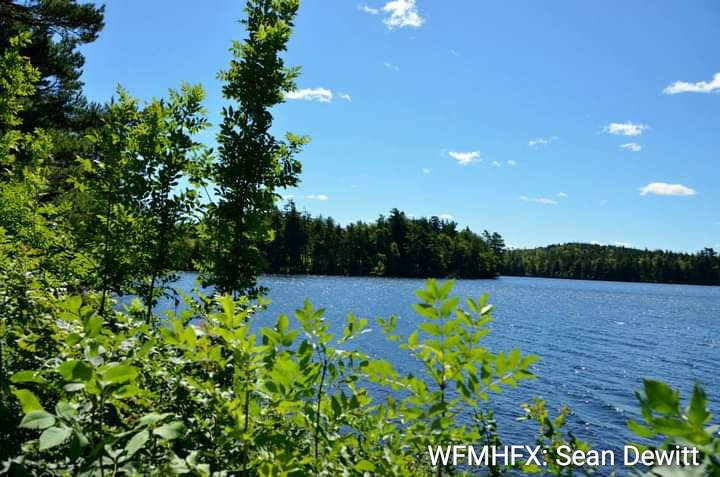 Municipality launches LakeWatchers Water Quality Monitoring Program