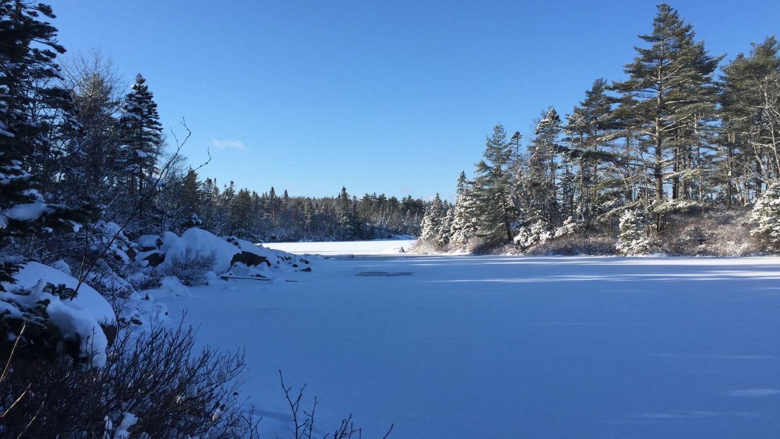 Public engagement launches for proposed Blue Mountain-Birch Cove Lakes Regional Park
