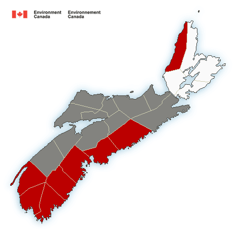 (ENDED) Rainfall warning in effect