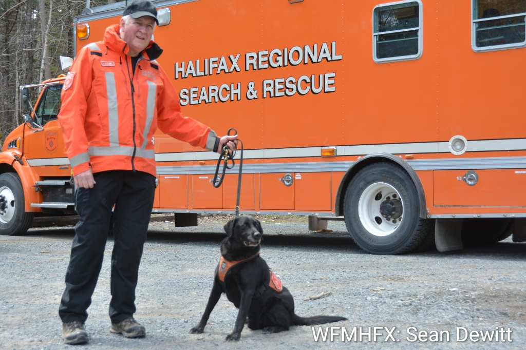 Halifax Search and Rescue Dog Jet Hangs up his Search Harness