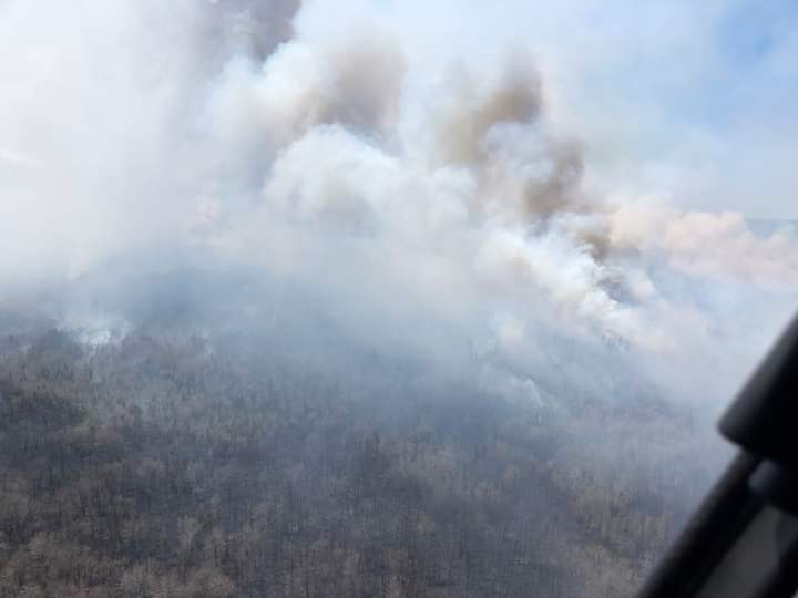 Nova Scotia Welcomes Forest Fire Aid from Newfoundland and Labrador