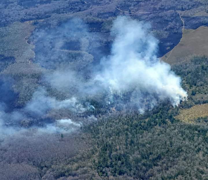 Wildfire near Horseshoe Lake, Yarmouth Co. is now 60% contained