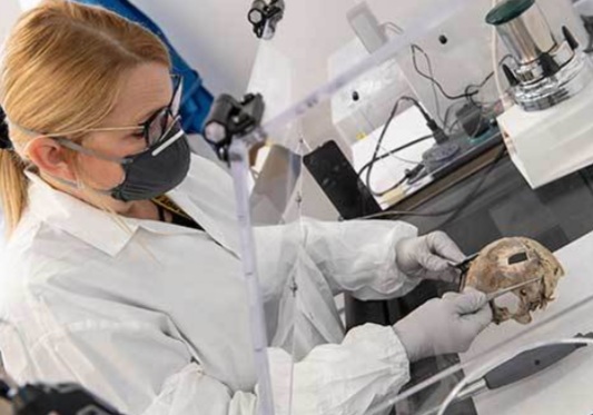 National Missing Persons DNA Program supports investigations across the country