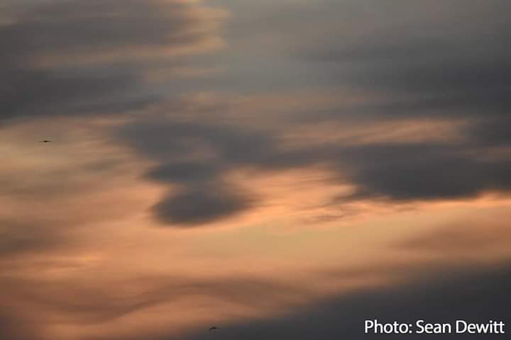 The Province is making regulatory changes to help ensure the air Nova Scotians breathe is clean and healthy and that industrial noise does not impact people's well-being