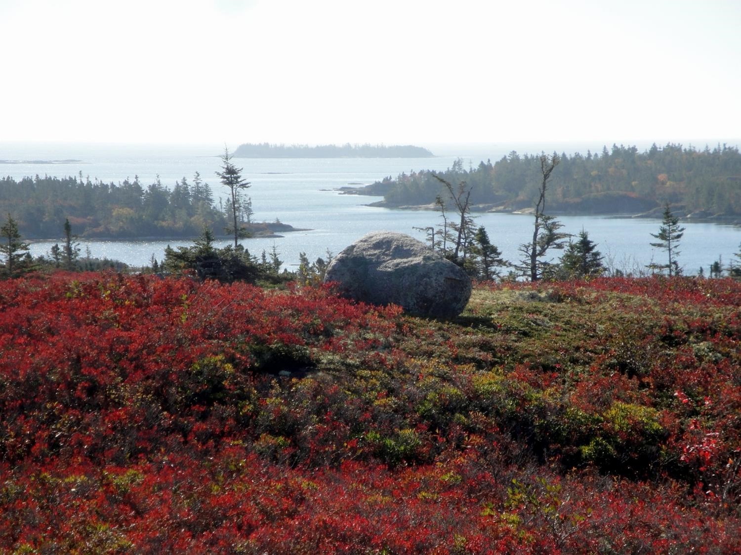 The Province is designating Owls Head as Nova Scotia's next provincial park