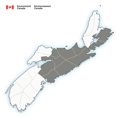 (ENDED) Special weather statement in effect 