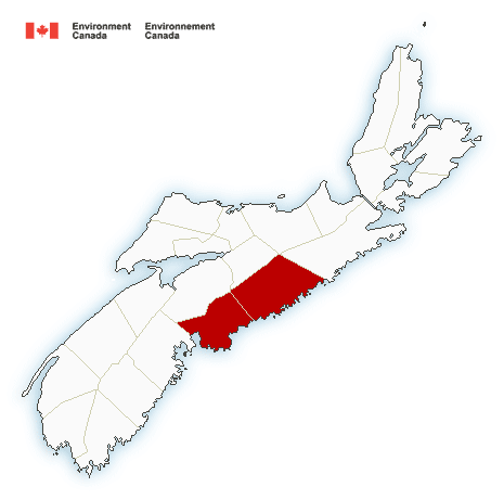 (ENDED) Rainfall warning in effect 