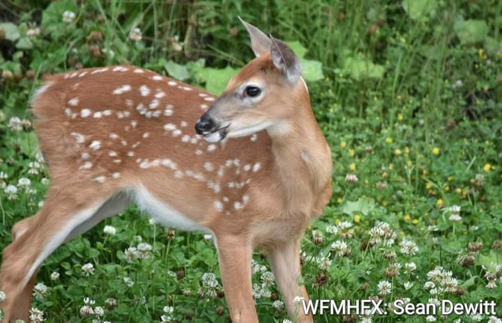 Happy World Nature Conservation Day!