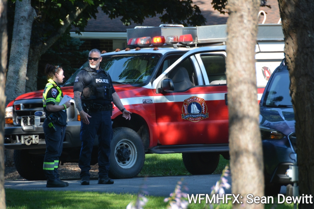 A search for a missing youth off Waverley Rd ended happily earlier this morning