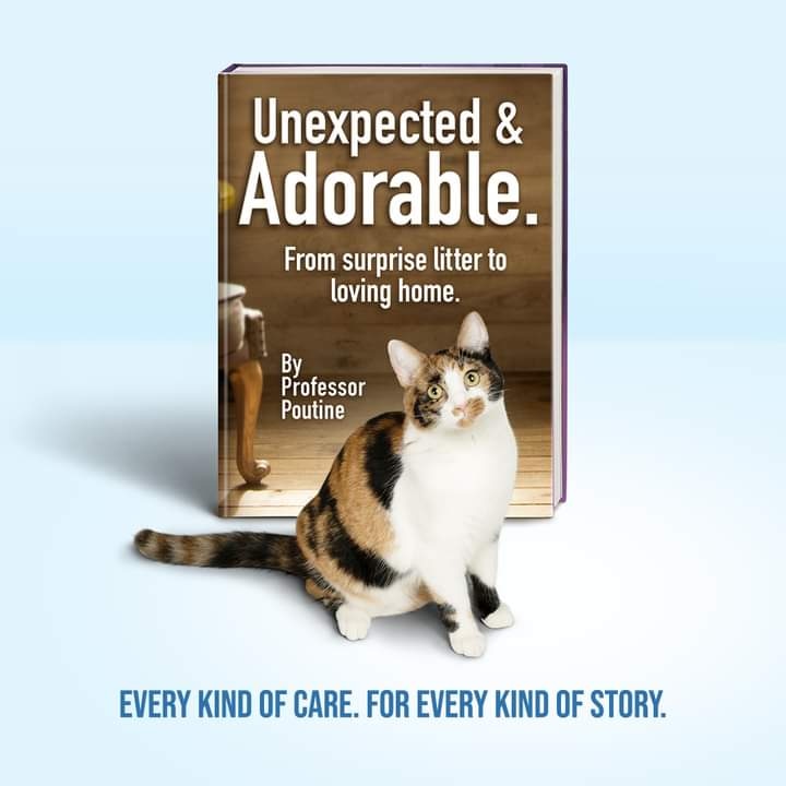 Have you heard about the SPCA’s P.U.P. Program before?