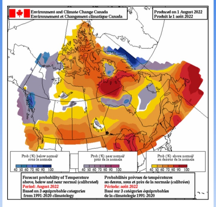 August Temperature Outlook via Environment Canada