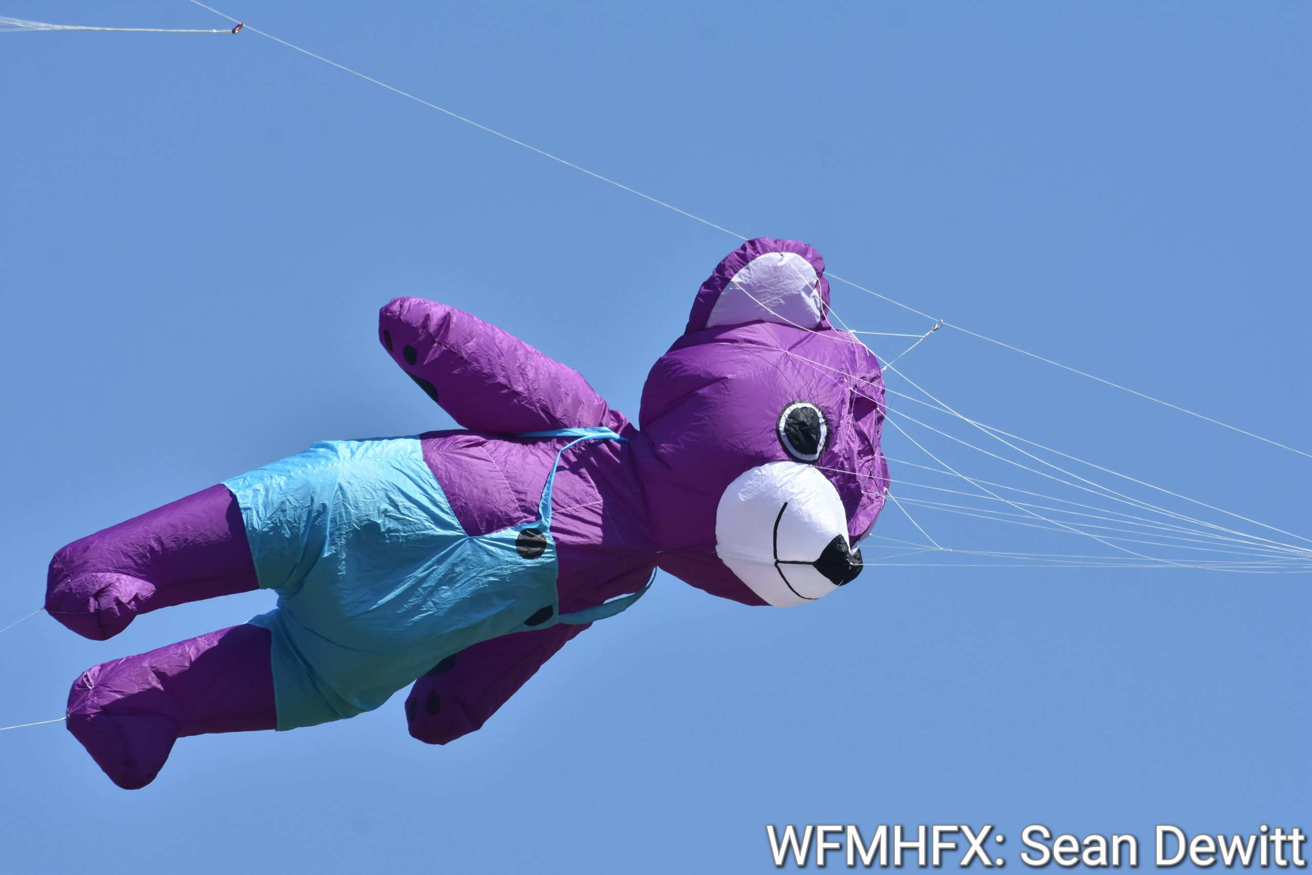The 6th annual Kite Festival took place in Halifax over the weekend