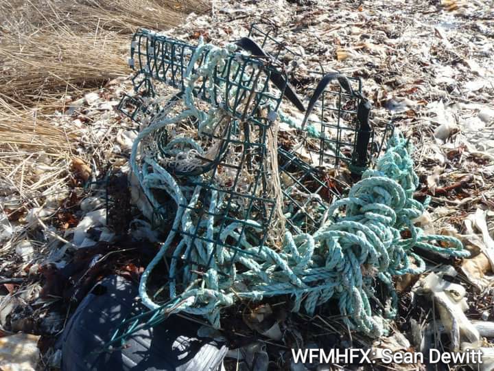Funding Available for Ocean, Shoreline Cleanup