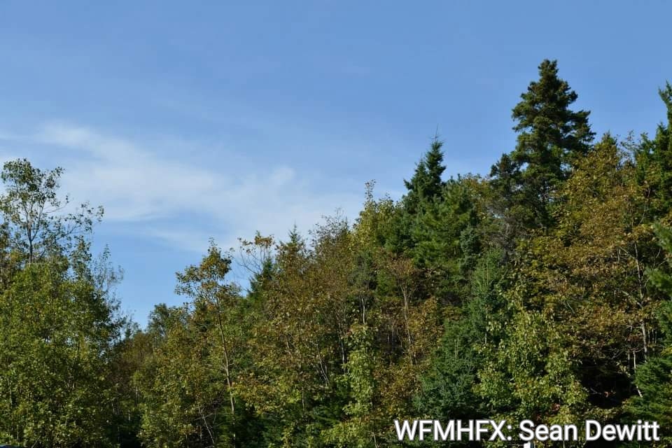 The Department of Environment and Climate Change has issued three new approvals for pesticide spraying, covering 2,306 hectares