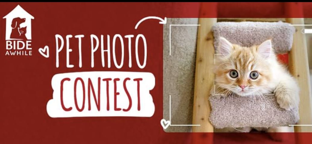 Make your pet famous! Bide Awhile still has space in the 2022 Pet Photo Contest