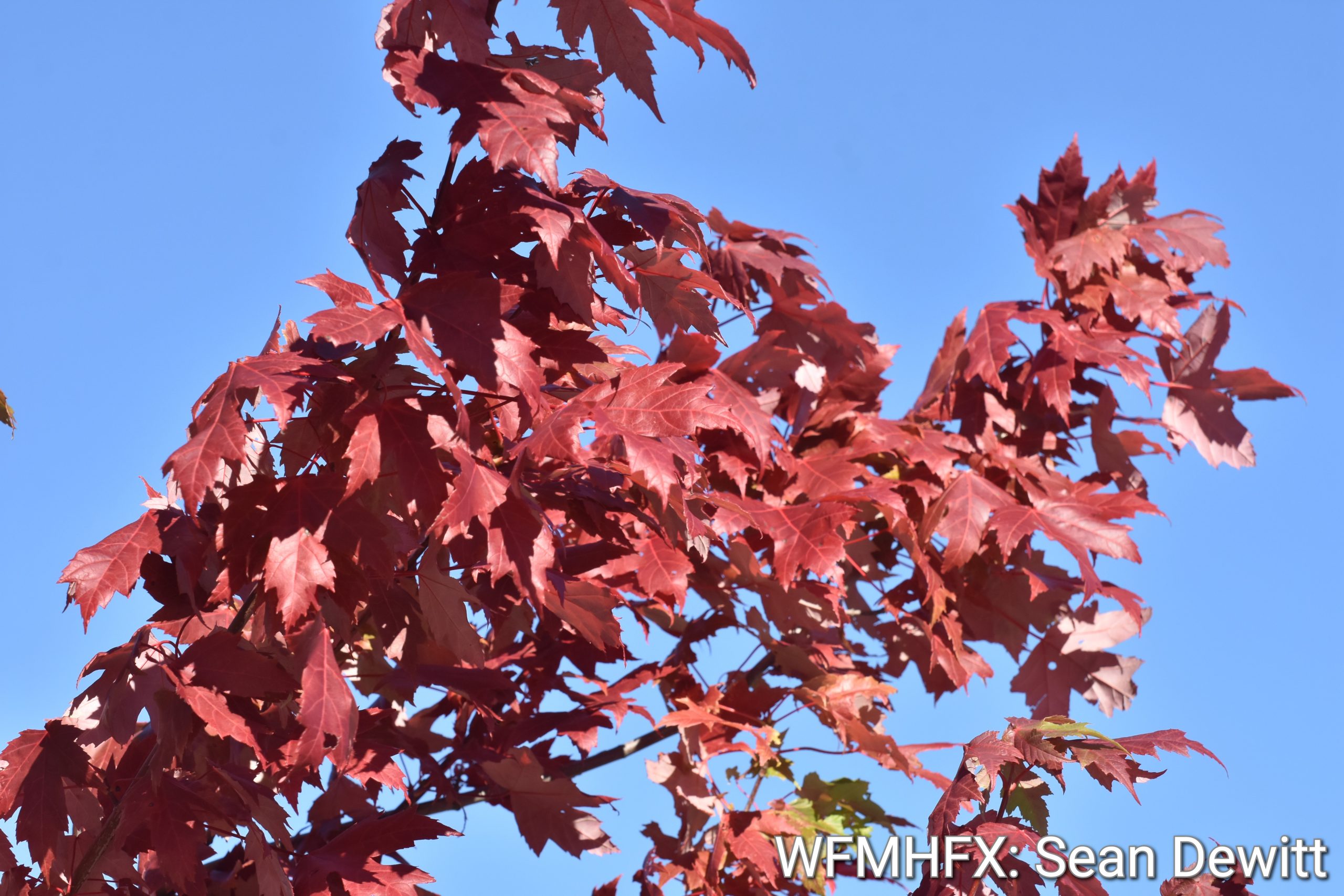 September 22 marks the arrival of the astronomical fall equinox in Canada