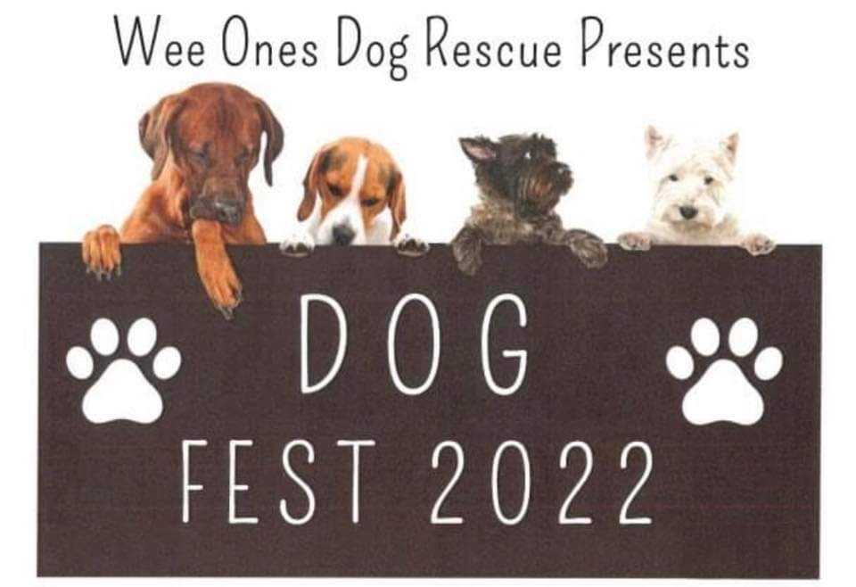 Dog Fest - Come join us for a fun day! 