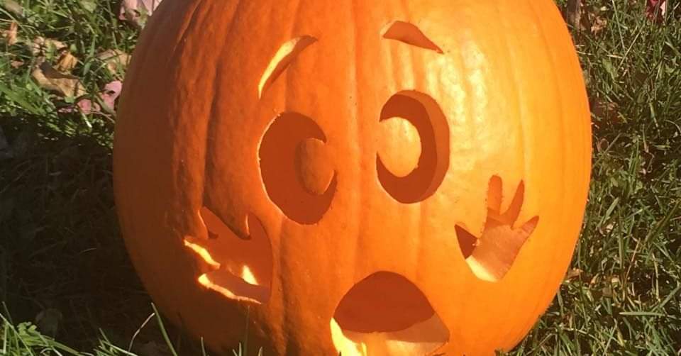 Sadly the Windsor~West Hants Pumpkin Regatta is officially cancelled due to a lack of water