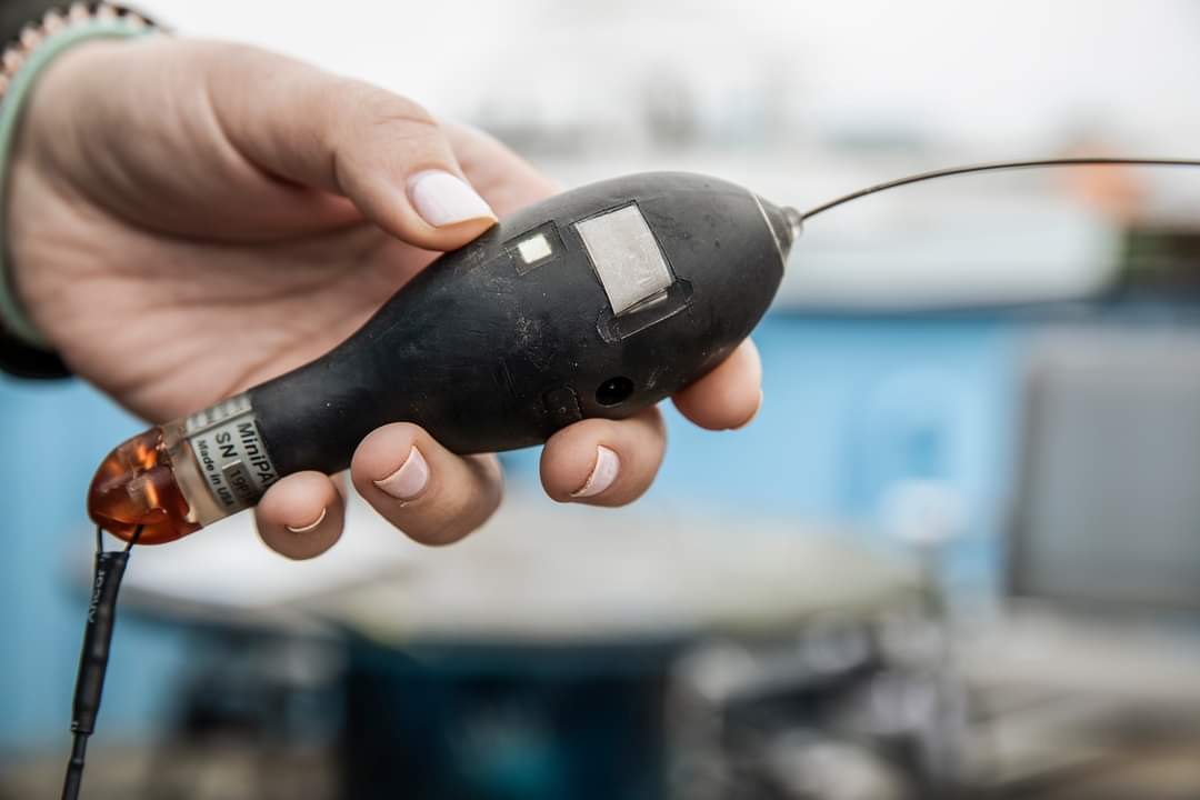 OCEARCH is on the lookout for 5 pop-up satellite archival transmitting (PSAT) tags that were attached to white sharks in Atlantic Canada