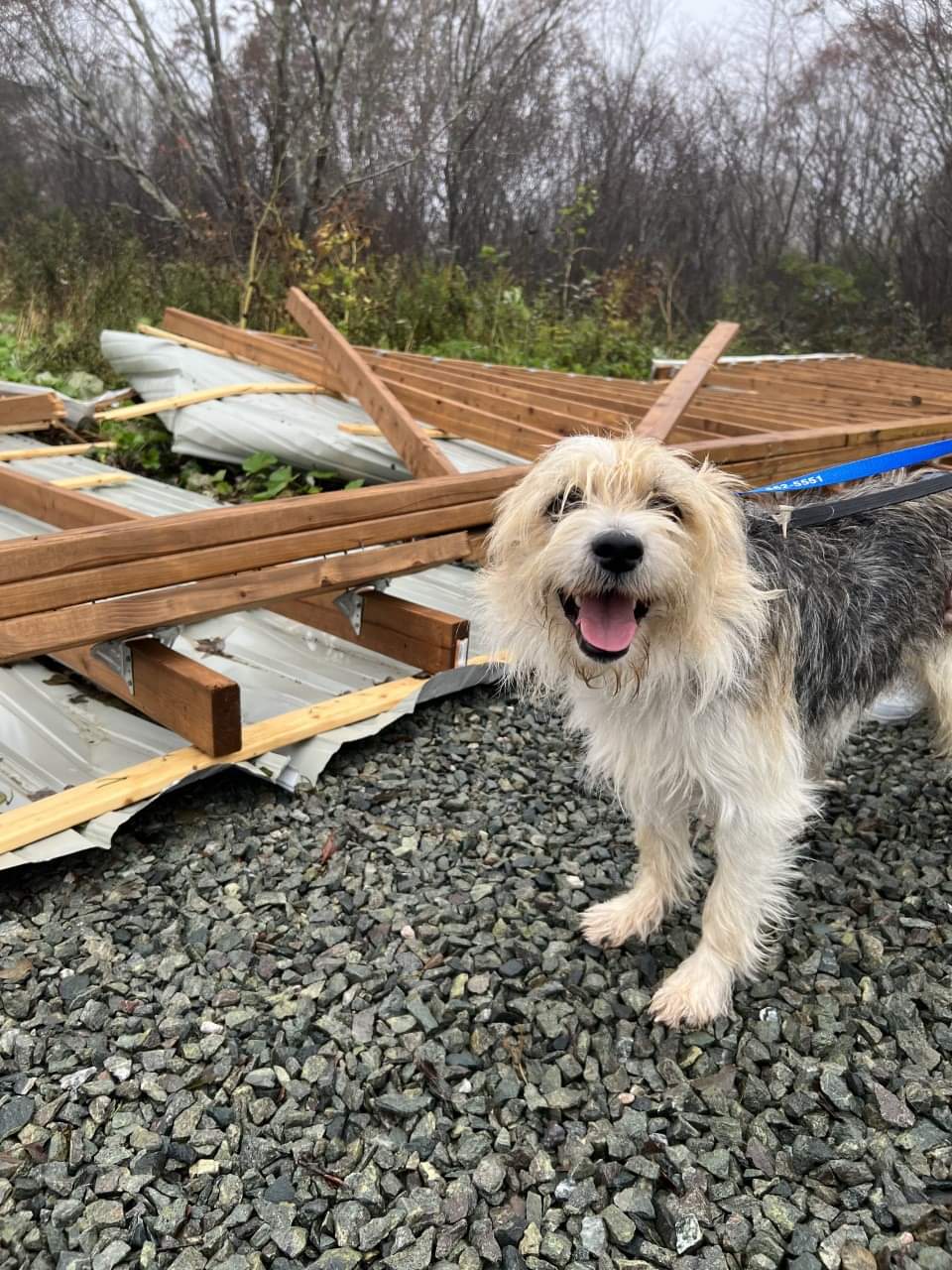 Post Hurricane Fiona