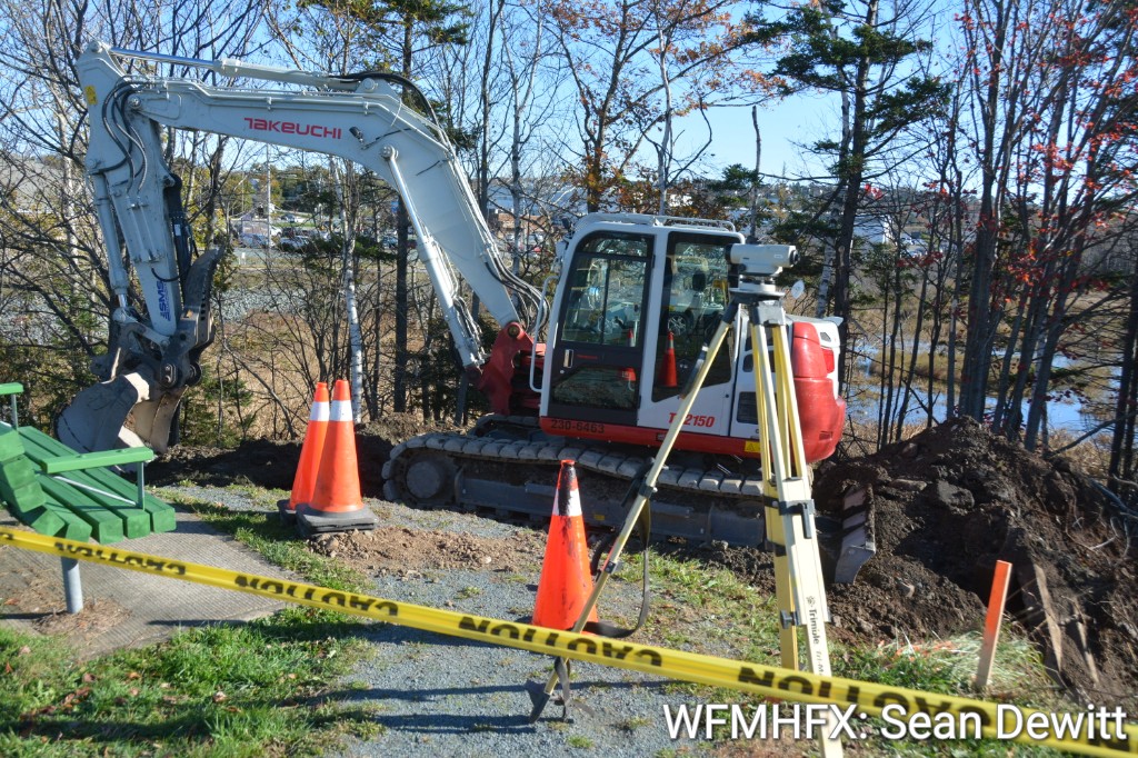 The Russell Lake turtle nest has been destroyed as the city pushes forward with an original design plan for a new path