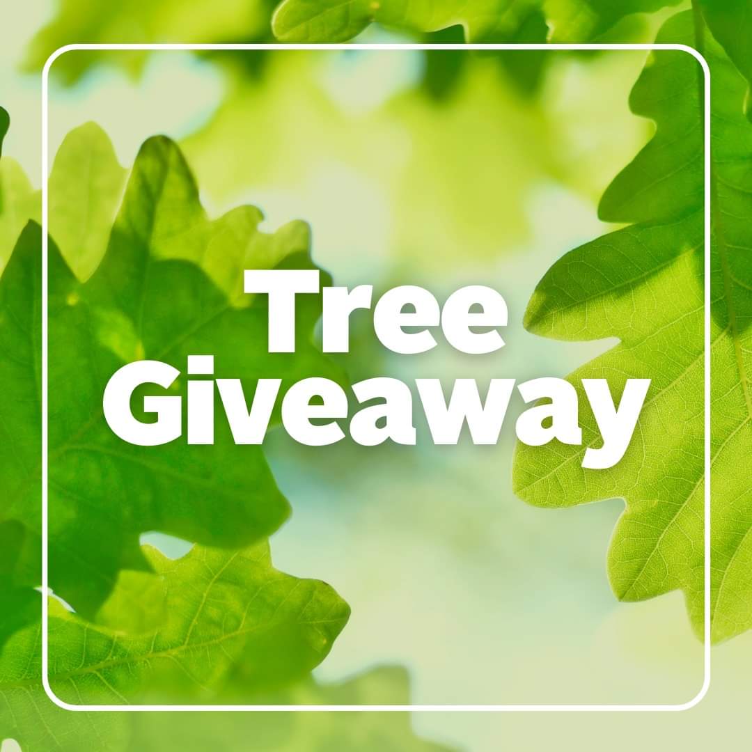 Join HRM for an upcoming tree giveaway