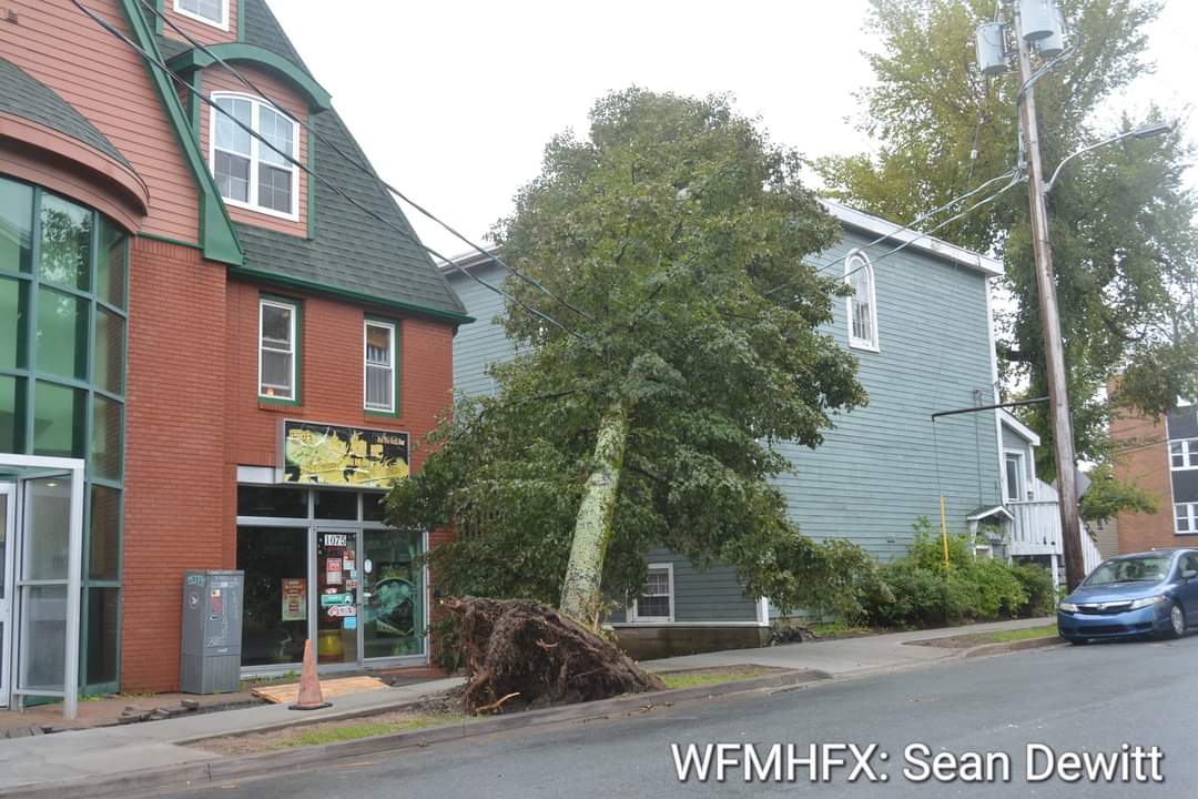 Applications Now Open for Small Business Hurricane Relief Program