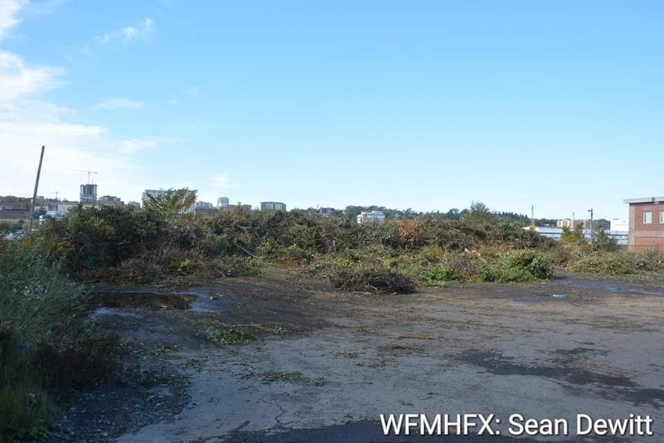 Tree waste drop-off locations closing