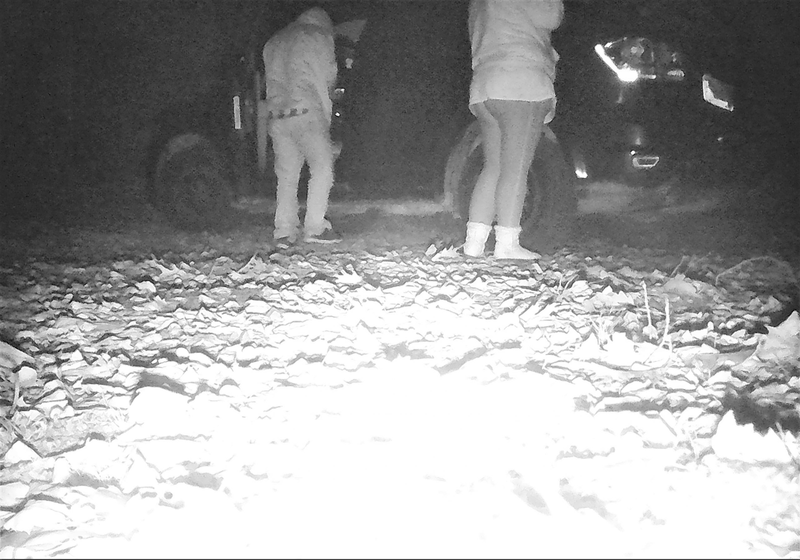Annapolis District RCMP investigate break-in at cottage, remind property owners to secure their cottages for the winter