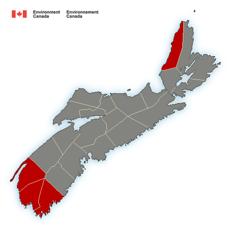 Special weather statement in effect 