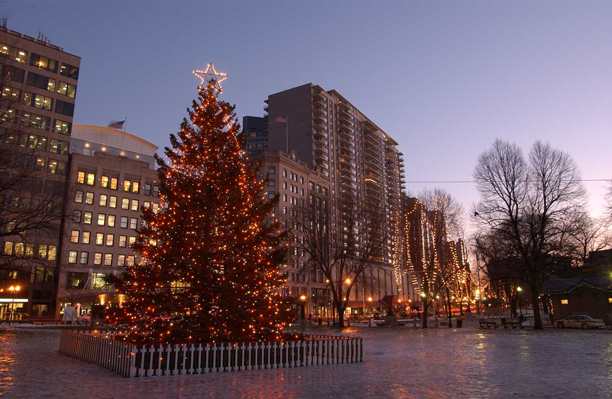 Christmas Island Family Donates Christmas Tree for Boston