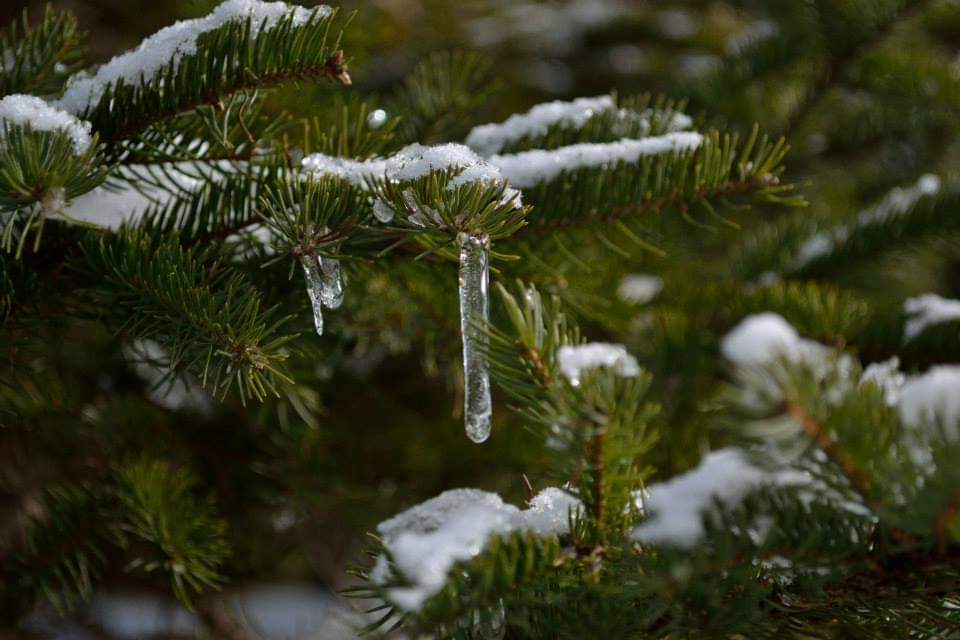 New Emergency Overnight Winter Shelter in Dartmouth