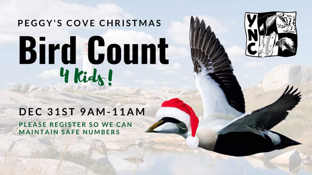 It's that time of year again! It's the Christmas Bird Count!