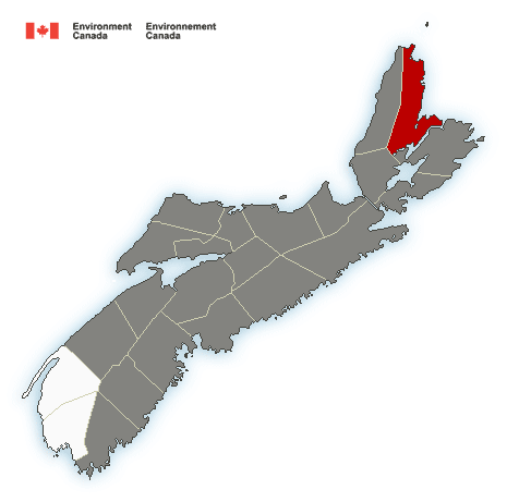Special weather statement in effect