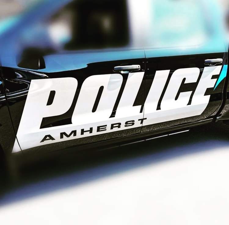 The Amherst Police Department would like to remind parents and guardians to talk about online safety with their kids
