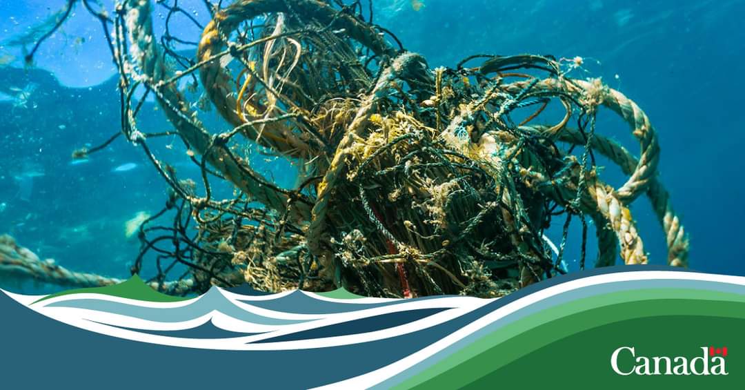 Blue Economy Regulatory Review