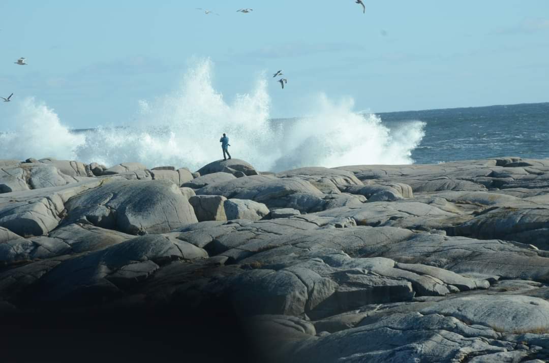If you’re visiting our shores, stay back from the water and off the black rocks